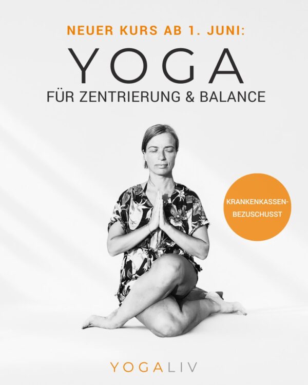 Yogaliv Yogakurs neu insta